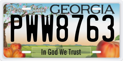 GA license plate PWW8763