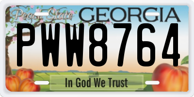 GA license plate PWW8764