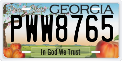 GA license plate PWW8765