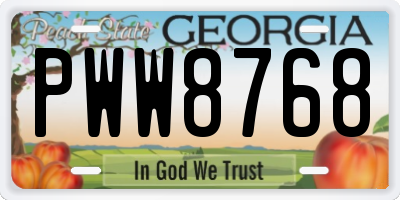 GA license plate PWW8768