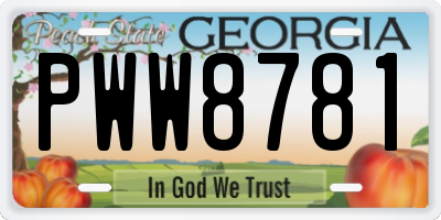 GA license plate PWW8781