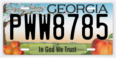 GA license plate PWW8785