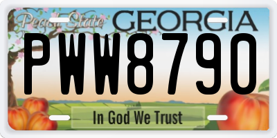 GA license plate PWW8790