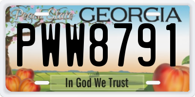 GA license plate PWW8791