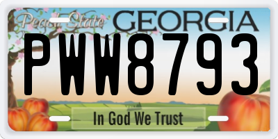 GA license plate PWW8793