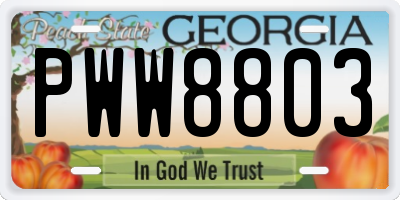 GA license plate PWW8803
