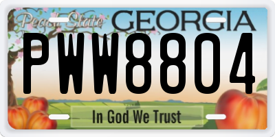 GA license plate PWW8804