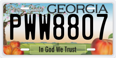 GA license plate PWW8807