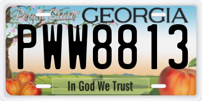 GA license plate PWW8813