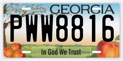GA license plate PWW8816