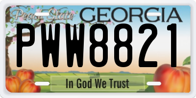 GA license plate PWW8821