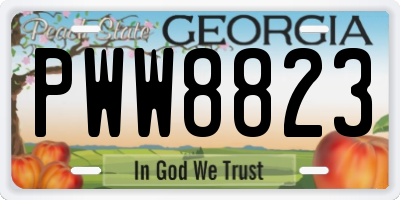 GA license plate PWW8823