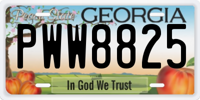 GA license plate PWW8825
