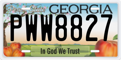 GA license plate PWW8827
