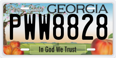 GA license plate PWW8828