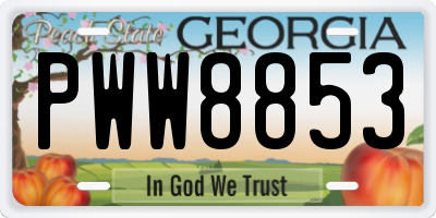 GA license plate PWW8853