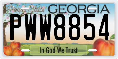 GA license plate PWW8854
