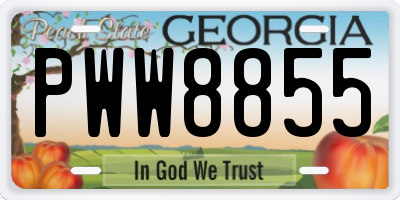 GA license plate PWW8855