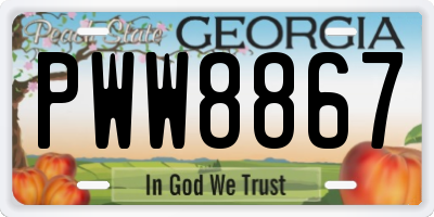GA license plate PWW8867