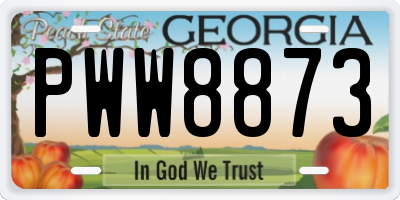 GA license plate PWW8873
