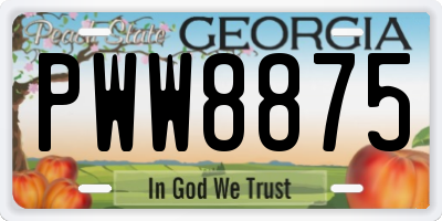 GA license plate PWW8875