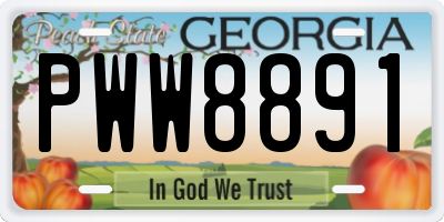 GA license plate PWW8891