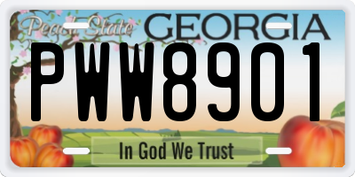 GA license plate PWW8901
