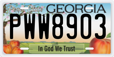 GA license plate PWW8903
