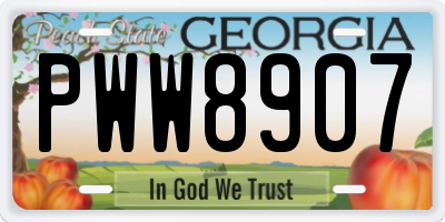 GA license plate PWW8907