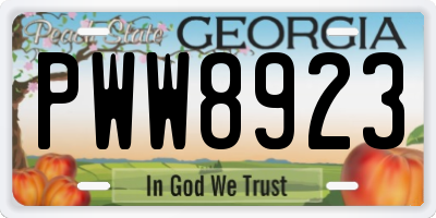 GA license plate PWW8923