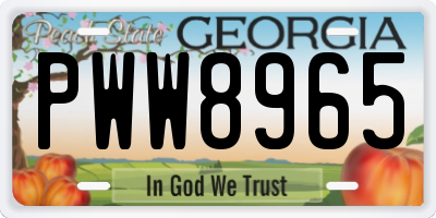 GA license plate PWW8965