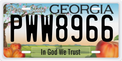 GA license plate PWW8966