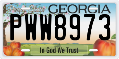 GA license plate PWW8973