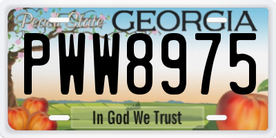 GA license plate PWW8975