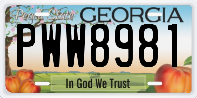 GA license plate PWW8981
