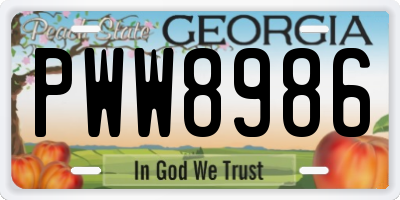 GA license plate PWW8986