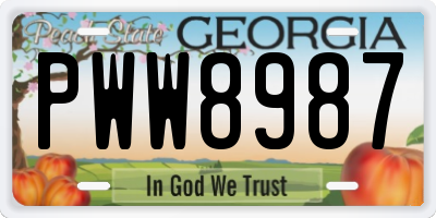 GA license plate PWW8987
