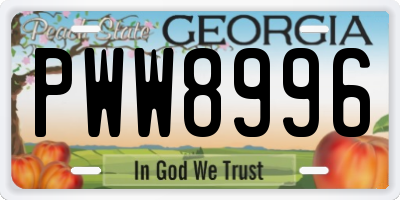 GA license plate PWW8996