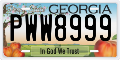 GA license plate PWW8999