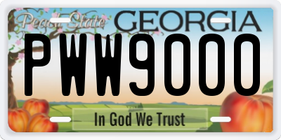 GA license plate PWW9000
