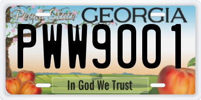 GA license plate PWW9001