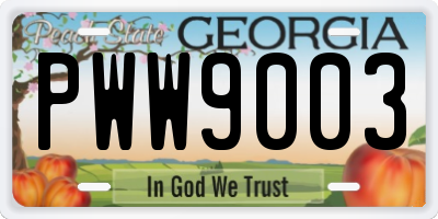 GA license plate PWW9003