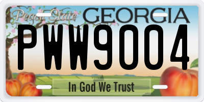 GA license plate PWW9004