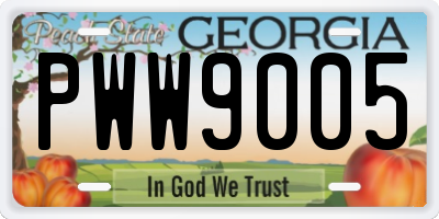 GA license plate PWW9005