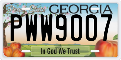 GA license plate PWW9007