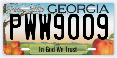 GA license plate PWW9009