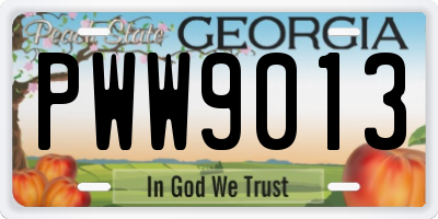 GA license plate PWW9013
