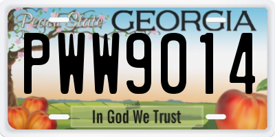 GA license plate PWW9014