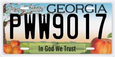 GA license plate PWW9017