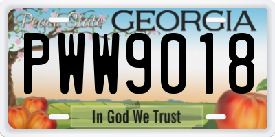GA license plate PWW9018